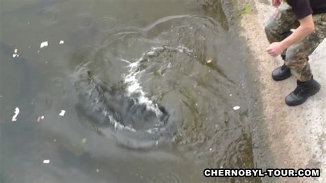 Mutated Chernobyl Fish