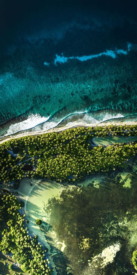 Download Wallpaper 1080x2160 Aerial View Maldives Nature Palm Trees