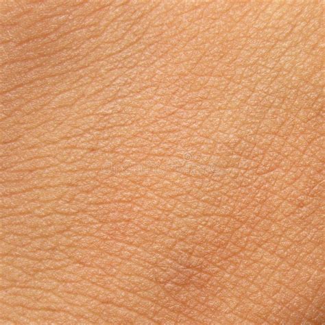 Human Skin Texture Stock Photo Image Of Micro Hand 59256368