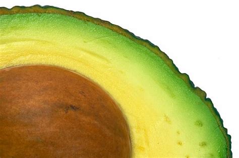 Best Avocado Texture Stock Photos Pictures And Royalty Free Images Istock