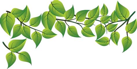 Feuille Verte Png Png All