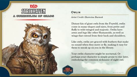 Dandd Your First Look At The Strixhaven Sourcebook Owlin And Mascots