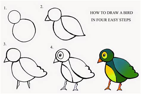 How To Draw A Bird In Four Easy Steps Bird Drawings Flower Drawing