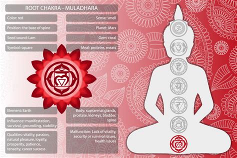 CHAKRA ROOT Significado una guía para el primer chakra y su energía de color rojo