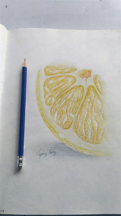 Extreme close up shot of pencil tip. Close up, lemon drawing. Pencil crayon. | Lemon drawing ...