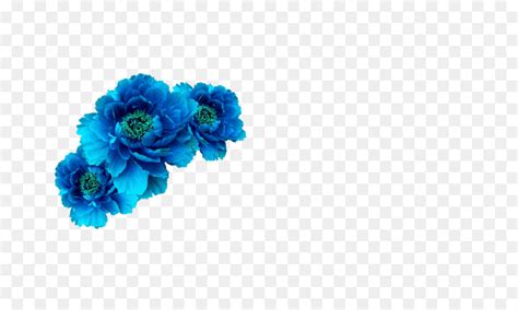 Download transparent blue flower png for free on pngkey.com. Blue Flower Crown Wreath Aqua - blue flower png download ...