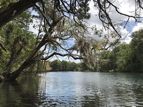 The chassahowitzka river campground, located in homosassa, fl is a campground that offers temporary outdoor living, including overnight stays in citrus county. Chassahowitzka River Campground - UPDATED 2017 Reviews ...