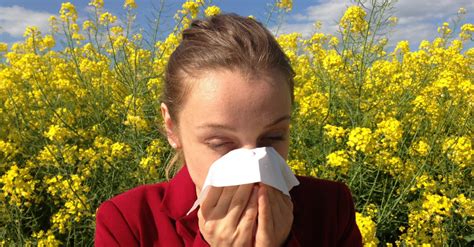 10 Remedios Caseros Para La Alergia
