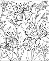 Coloring Gardening Colouring Vegetable Sheets Flower Garden Butterfly Printable Gardens Hubpages Adult Hsanalim Vegetables Read Flowers Printablecolouringpages Zentangle sketch template