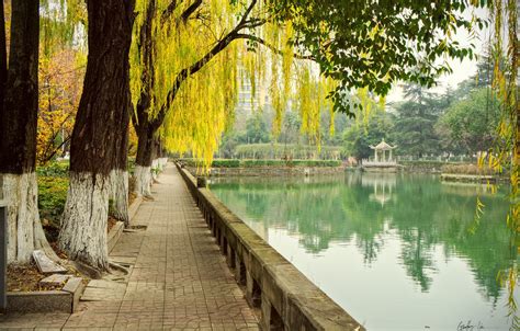 Wallpaper Autumn Trees Pond Park China China Chengdu Chengdu