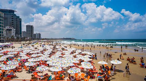 אוניברסיטת תל&nbsp;אביב מזמינה אותך להצטרף לקהילה האקדמית הגדולה, המשפיעה והתוססת בישראל. השכרת מתקנים ומחירונים | עיריית תל אביב-יפו