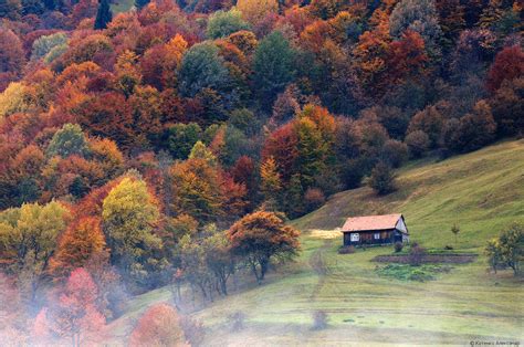 All Colors Of Autumn In The Ukrainian Carpathians