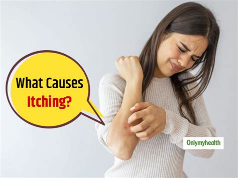 Do You Know Why You Itch A Lot Sometimes Understand The ‘itch Scratch