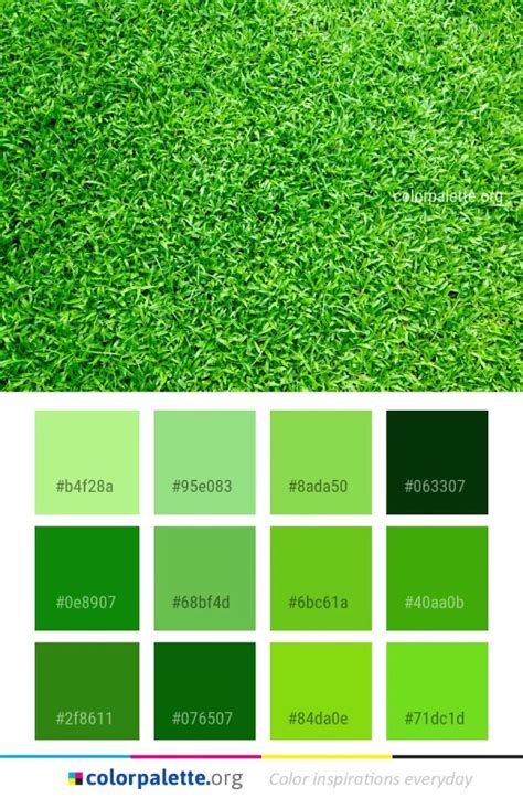Green Grass Plant Color Palette