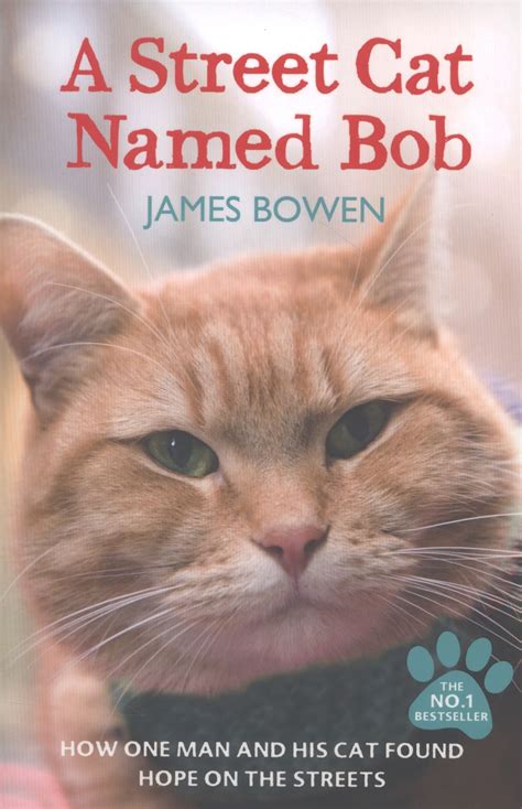 It was interesting to see how they changed things in the book and how one sentence in the book could turn into a whole bit of storyline in the film that isn't there in the book. Charters School Book Blog: A Street Cat Named Bob by James ...