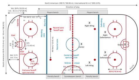 Field Hockey And Ice Hockey Dimensions And Layout