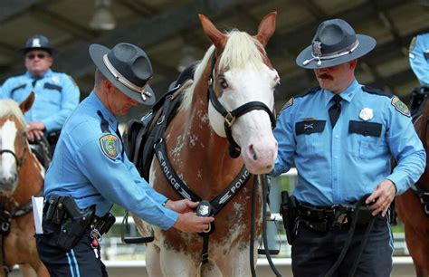 Hpd Adds Deaf Horse To Patrol