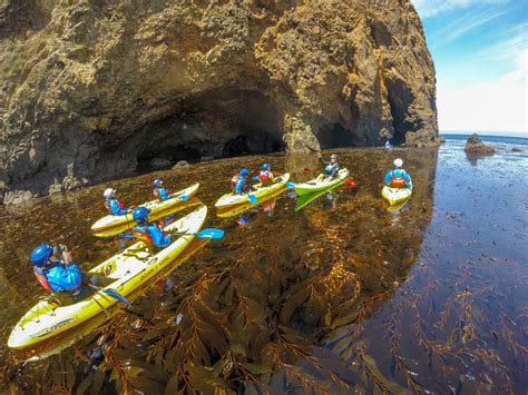 Channel Islands Kayaking Tours Explore The National Park 2022