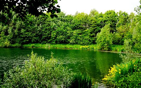 Free photo: Greenery - Bright, Green, Landscape - Free ... Nature windows wallpapers pc in both widescreen and 4:3 resolutions.