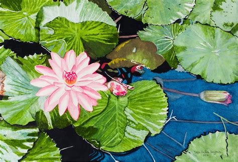 Lily Pond 2016 13 X 19 Watercolor On Paper Watercolor Art