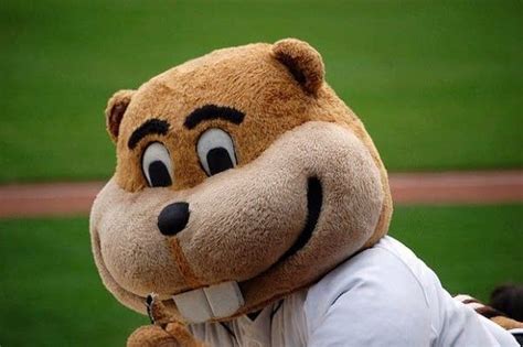 Why Goldy Gopher Got Punched In The Face Mpr News