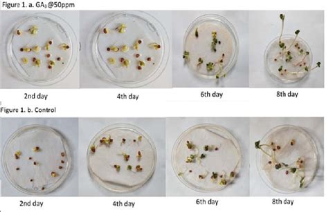 Effect Of Treatment On Seed Germination Behavior Of Radish Download Scientific Diagram