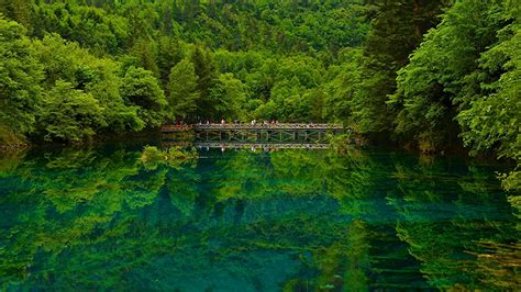 Fondos De Pantalla China Lago Puentes Bosques Jiuzhaigou Sichuan
