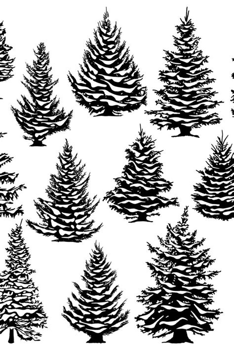 Christmas Snowy Pine Trees Xmas Snow Covered Pine Trees Sil