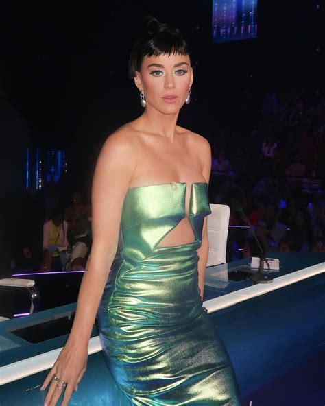 American Idol Fans Disgusted With Katy Perry After They Spot Unsanitary Detail About Her