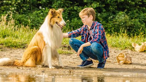 Watch Lassie Come Home Netflix
