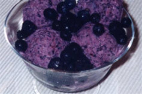 Blueberry Yogurt Ice Cream Recipe Food Com
