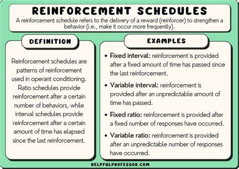 15 Reinforcement Schedule Examples Of All Types 2023