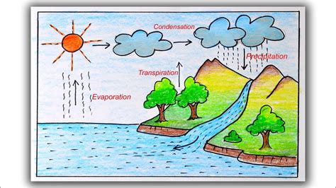 31 Draw Water Cycle And Label Labels Design Ideas 2020