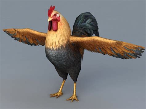 Beautiful Rooster 3d Model 3ds Max Files Free Download Cadnav
