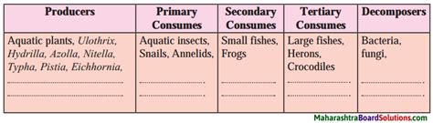 Maharashtra Board Class Science Solutions Chapter Ecosystems