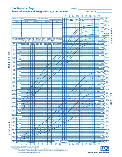 Cdc男孩成长图表：2至20年，年龄和体重为年龄的百分位数（第5 95个百分位数）下载可打印的pdf Templateroller 欧宝