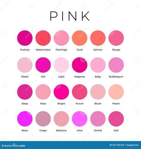 Pink Color Shades Swatches Palette With Names Stock Vector Illustration Of Graphic Guide