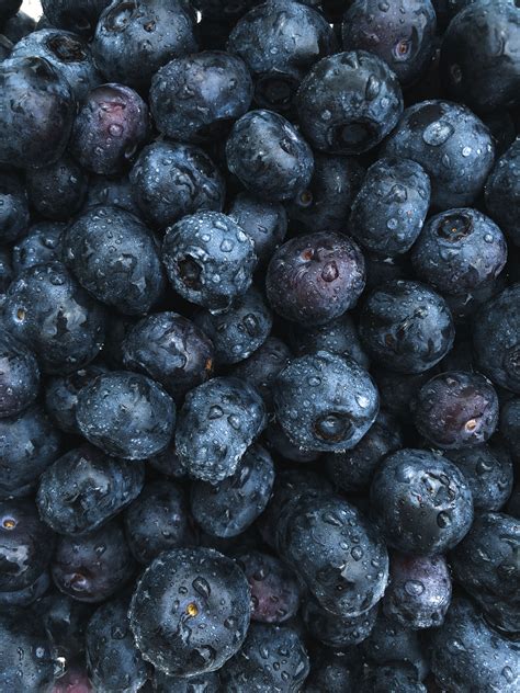 Blueberry Aesthetic Tere Fruit