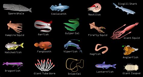 Icon of the game codycross © fanatee, inc. Creatures of the Deep Sea - Deep Sea Creatures on Sea and Sky