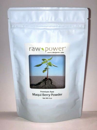 Raw Power Protein Powder Organic Foods And Supplements