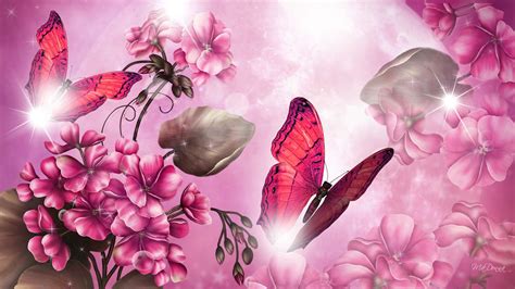 Pink Butterfly Image