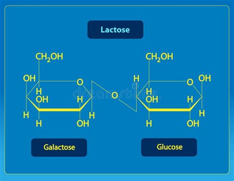 Lactose Stock Illustration Image