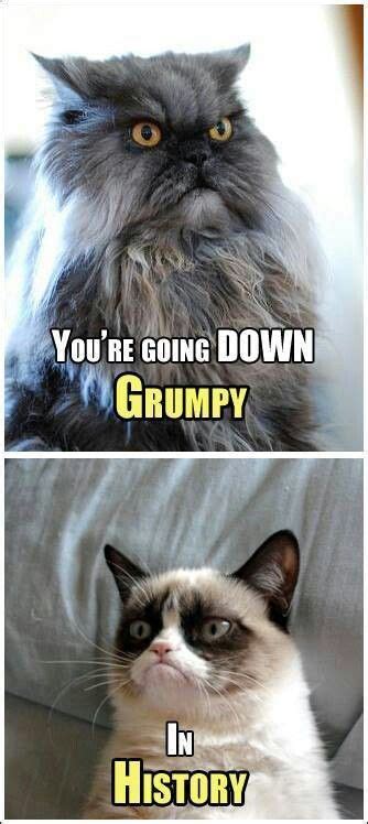 In History Grumpy Cat Funny Grumpy Cat Memes Grumpy