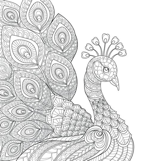 This coloring page comes from our coloring book blissful scenes. Peacock Coloring Pages For Adults at GetDrawings | Free ...