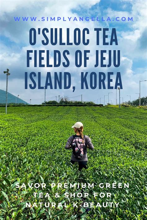 Osulloc Green Tea Fields And Innisfree On Jeju Island With Images