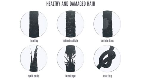 4c Hair Split Ends Explanation And How To Get Rid Of Them