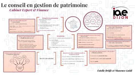 Le Conseil En Gestion De Patrimoine By Maxence Guidi