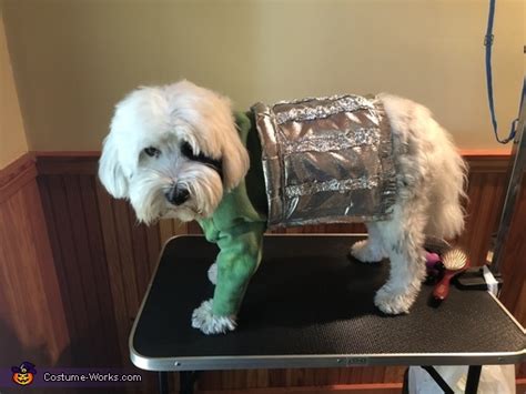 Oscar The Grouch Dog Costume Mind Blowing Diy Costumes Photo 44
