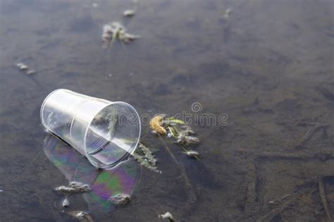 A Plastic Disposable Cup Was Thrown Into The River Pollution Of Nature