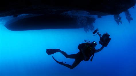 Person In Green Scuba Diving Suit · Free Stock Photo